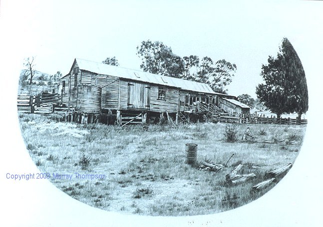 PENCIL_WOOLSHED1